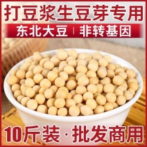 东北黄豆打豆浆用生豆芽批发黄豆大粒黑龙江农家五谷粮杂大
