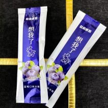 新品上市蓝莓雪糕冰淇淋冷饮厂家源头批发一手货源