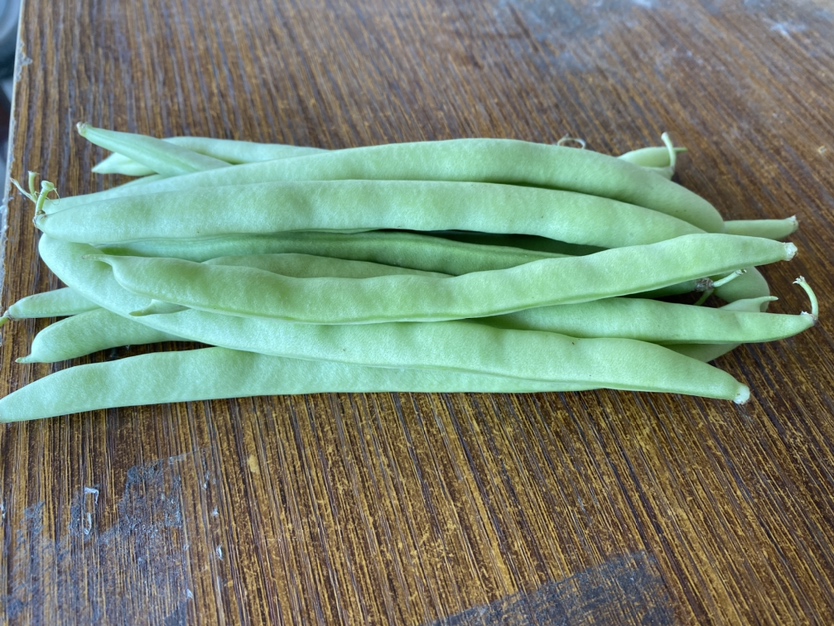 四季豆特写