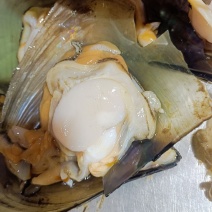 半壳带子，天然海鲜