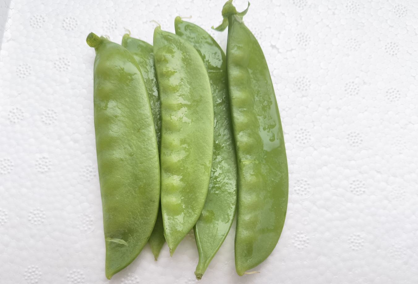 荷兰豆食材展示