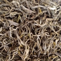 春茶