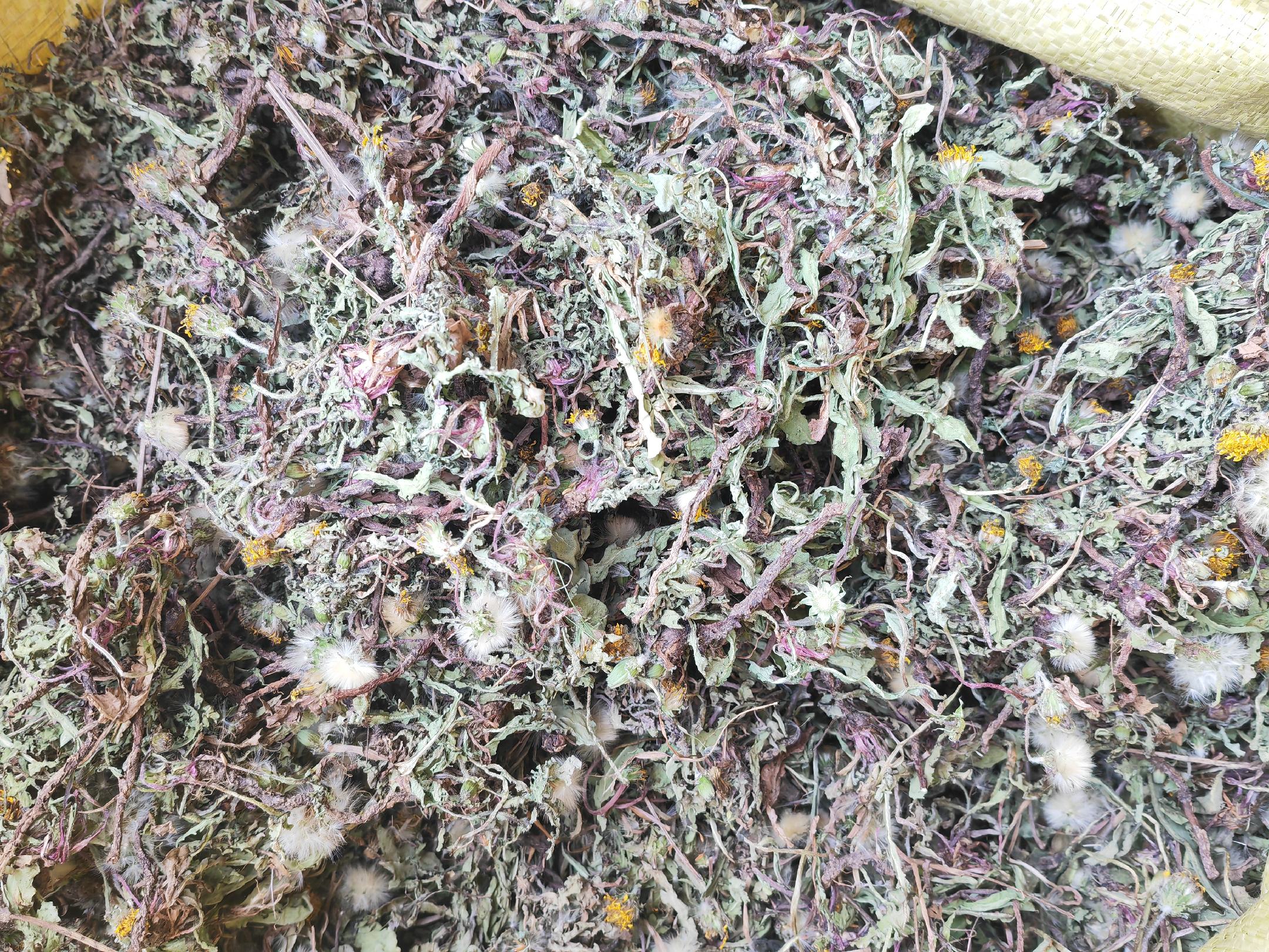 艾叶与黑豆的食材对比图