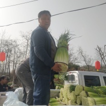 甘肃陇南成县白帽蒜薹