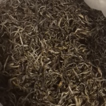 云南普洱墨江凤凰山古树