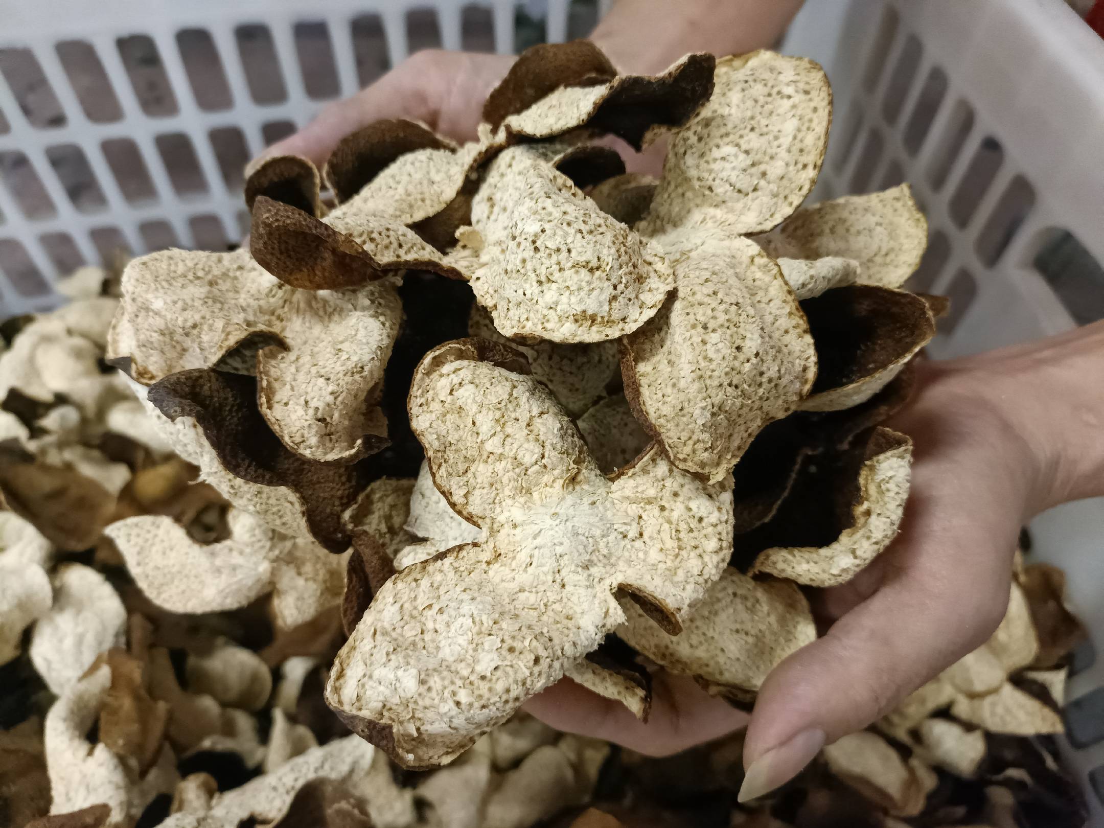 特写镜头下的山楂干、陈皮丝与薏仁颗粒,突出其天然色泽与质感,背景为中药柜 山楂陈皮薏仁组合药材图