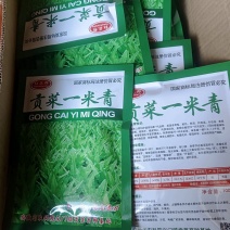 贡菜种子安徽省农科院种子绿皮绿心放心购买技术指导成品回收
