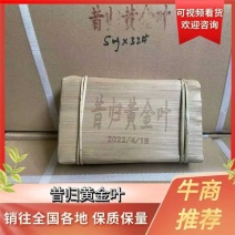 普耳茶，古树茶，临沧片区邦东昔归黄金叶，欢迎爱茶人士订购