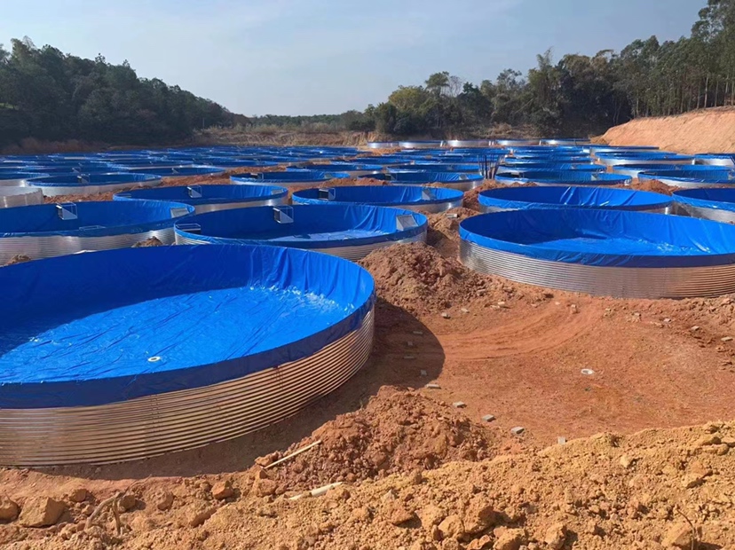 底层微孔曝气系统在池塘底部铺设