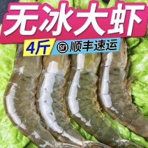 新鲜超大鲜活基围虾一件4斤青岛大虾【顺丰包邮】