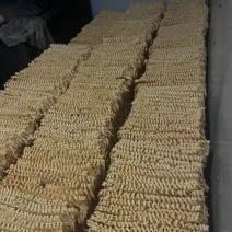 邳州兰花干