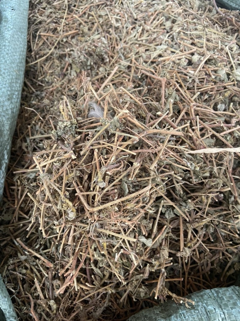 广西飞杨草自然晒干农家无硫药材正品野生大飞扬草