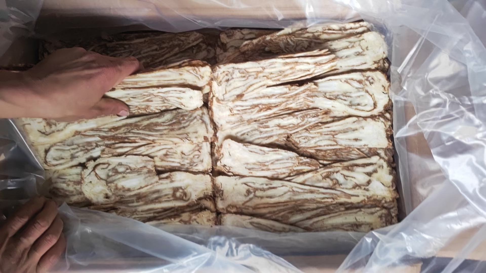 当归与侧柏叶实物对照图