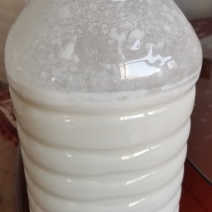 牧区酸奶
