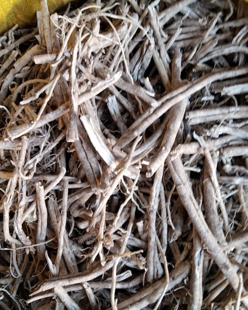 [灵芝批发]野生中药材白眼皮价格80.00元/斤 - 一亩田