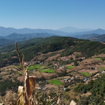 土地转让