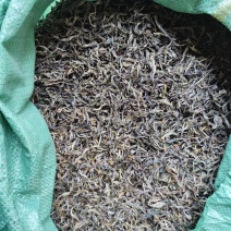 云南普洱绿茶
