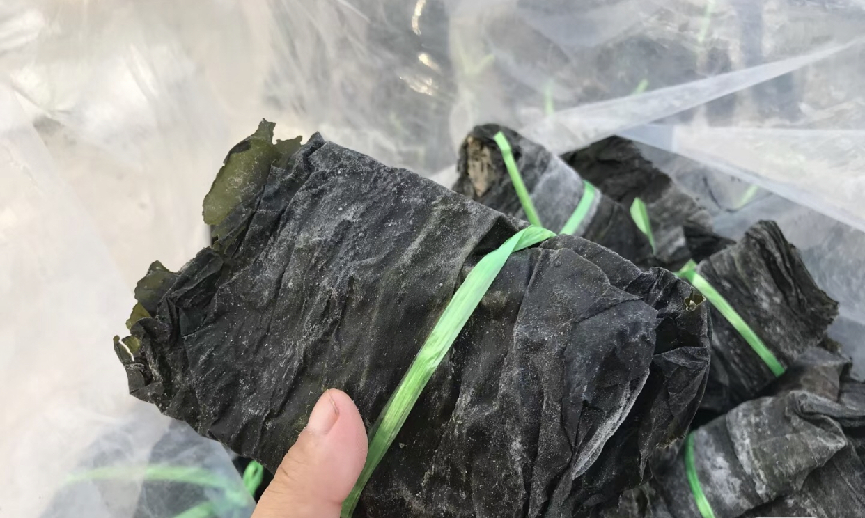 干海带食材图