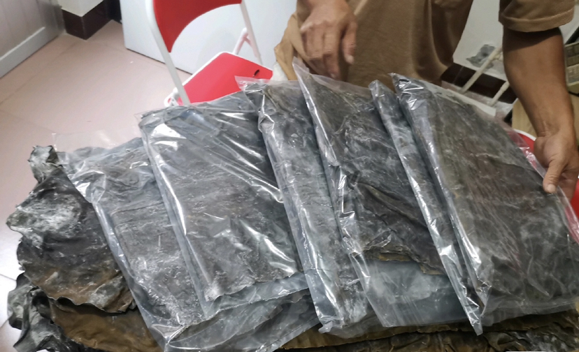 透明密封罐内装有折叠整齐的干海带,罐体标签注明“干海带 2023.10”,旁边配有干燥剂小包和几粒花椒,放置在整洁的橱柜 shelf 上,展现科学储存方式 家庭厨房中干海带储存示意图