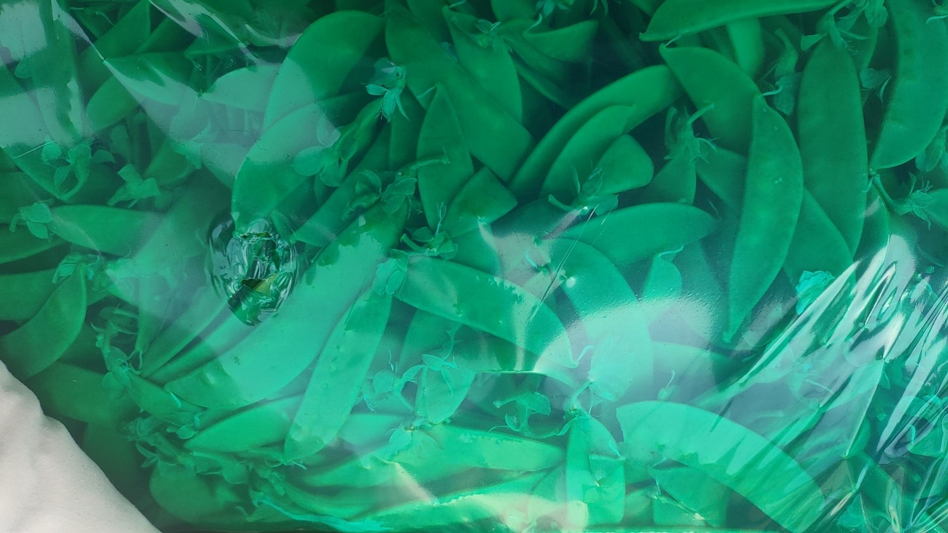 超市货架上的包装荷兰豆嫩苗产品