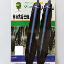 黑亮长茄圆茄茄子种子，绿罐茄茄子种子，果型均匀美观！！
