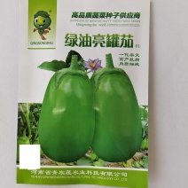 绿油亮罐茄茄子种子，有高产抗病潜力肉质细腻，青茄绿茄种子