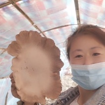 喜欢的老板联系我