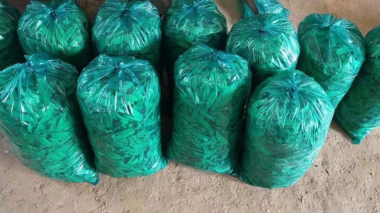 荷兰豆冷冻前处理流程图
