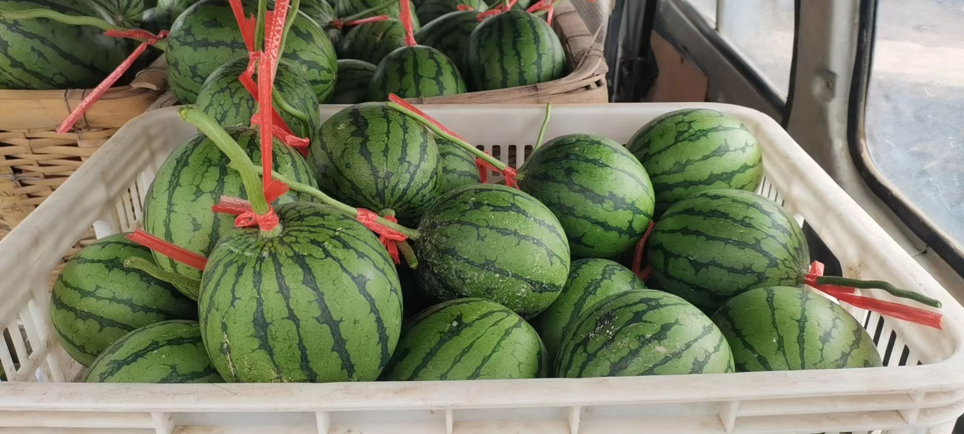 水果摊上陈列着不同品种的西瓜,如黑美人、麒麟瓜、无籽西瓜等,标签清晰可见 市场上的多种西瓜品种展示图