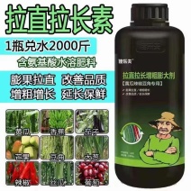 豆角黄瓜长茄子辣椒丝瓜苦瓜拉直拉长膨大增粗氨基酸叶面肥