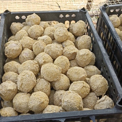 山东速成鸡皮蛋产地行情