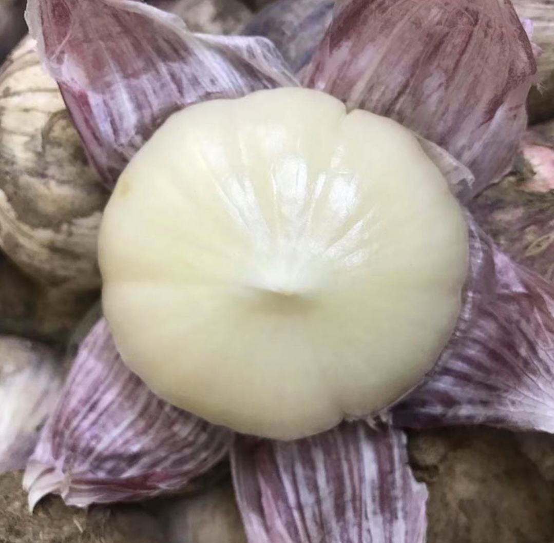 烤制独头蒜特写