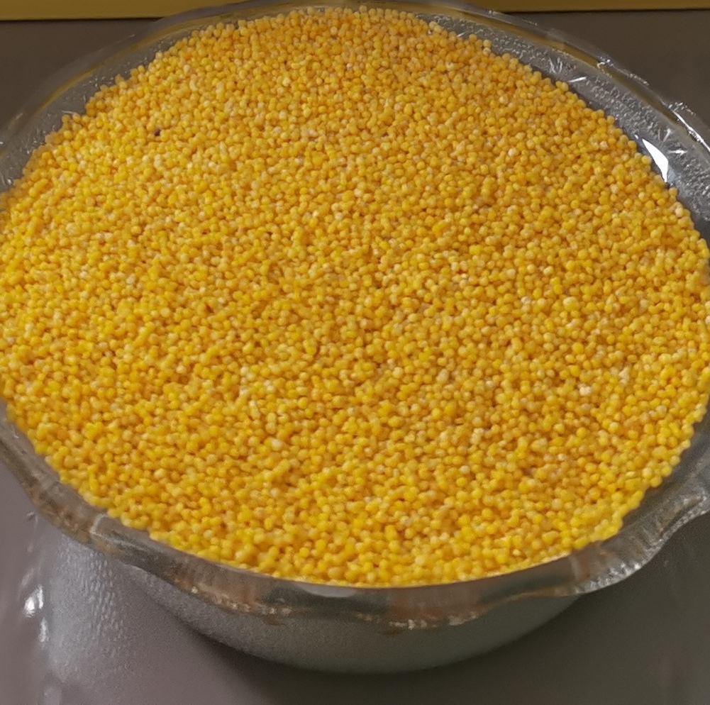 优质小米的颗粒饱满、色泽金黄