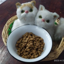 狗粮猫粮宠物食品生产厂家诚信经营保证质量全国招商一件代发