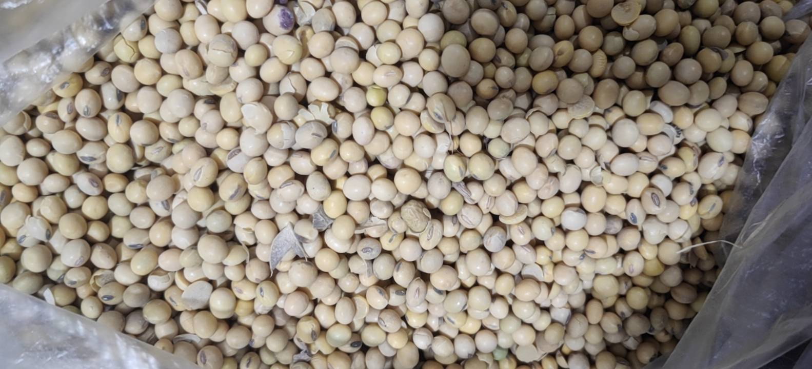 超市货架上的大豆产品陈列