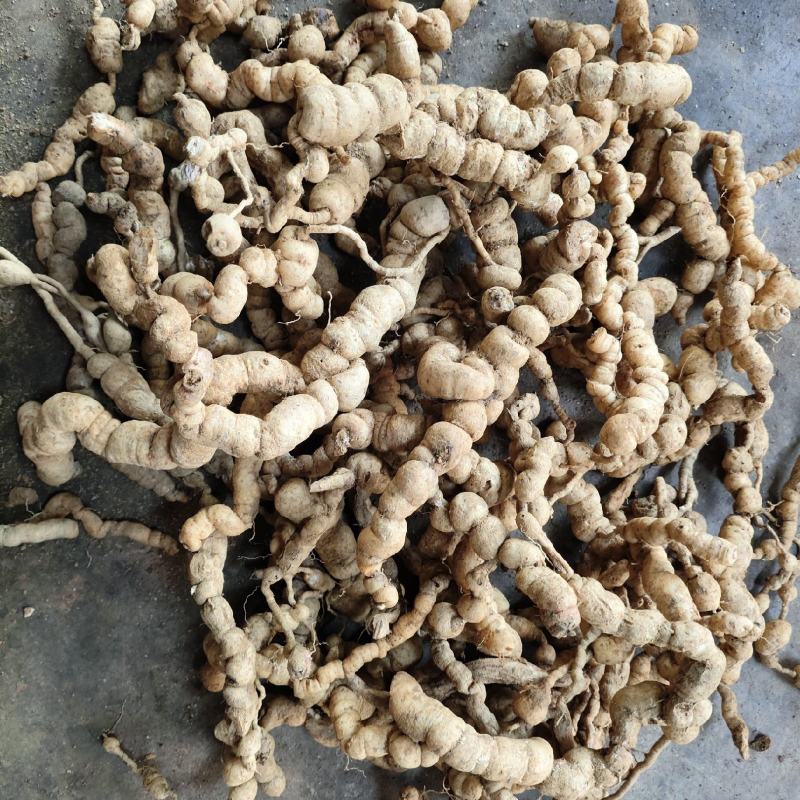 野生巴戟天鸡肠薯