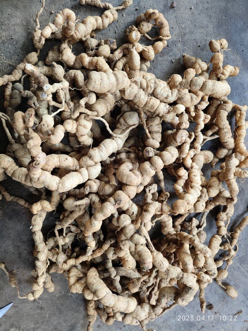 野生巴戟天鸡肠薯