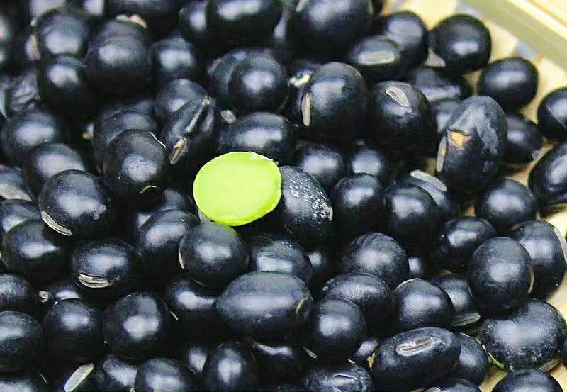 信息图表展示一杯200ml黑豆煮水的主要营养成分:花青素120mg、大豆异黄酮45mg、可溶性膳食纤维3.2g、皂苷类物质8mg、热量约40kcal;配以分子结构示意图和紫红色渐变背景,突出其抗氧化特性 黑豆水营养成分解析图表