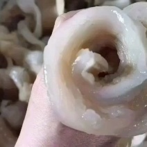 鱼唇
