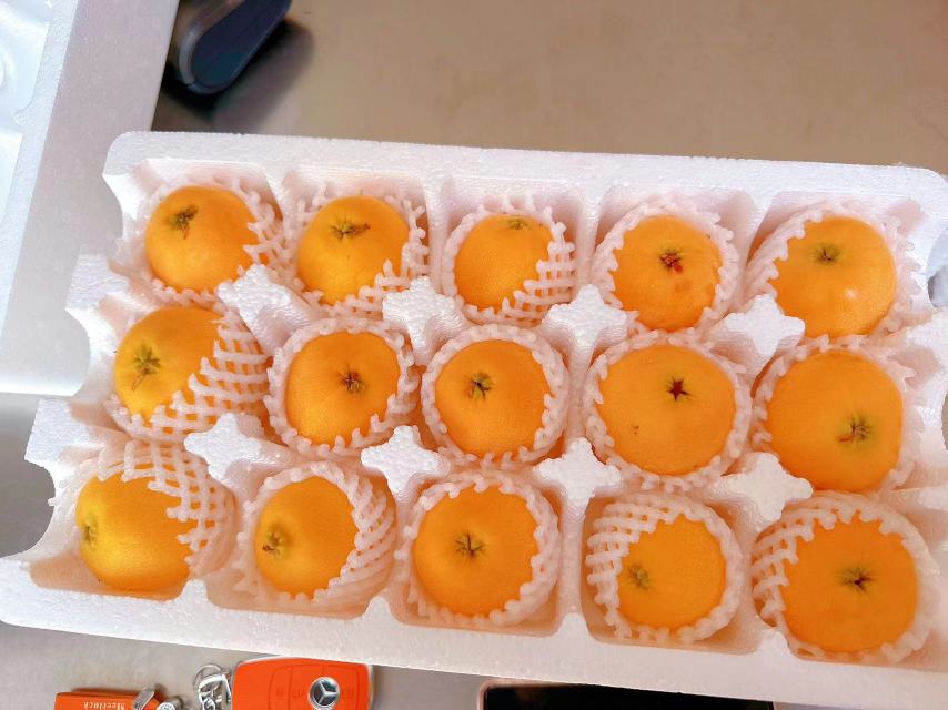 成都龙泉驿枇杷果园