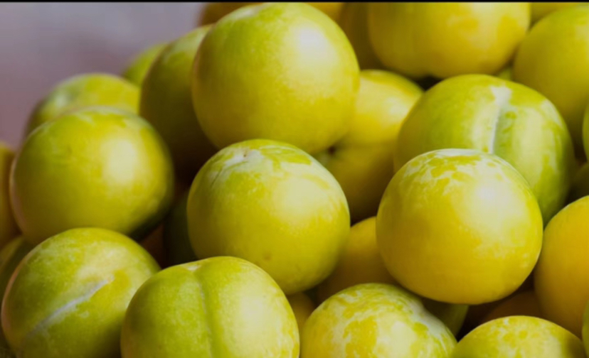 蜂糖李果实特写