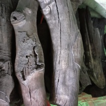 荔枝干木炭