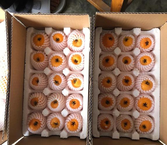 展示大五星无核枇杷的精品包装:透明礼盒装内整齐摆放8-10颗完整果实,果色金黄诱人;旁边配有二维码溯源标签、冷链配送箱、品牌LOGO卡纸;背景为超市货架与线上直播带货画面 大五星无核枇杷电商包装与零售场景