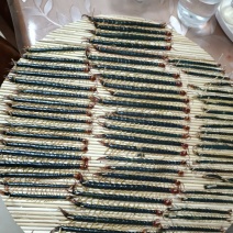 野生蜈蚣，13-15CM