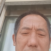 蜈蚣