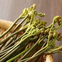 云南山地蕨菜干