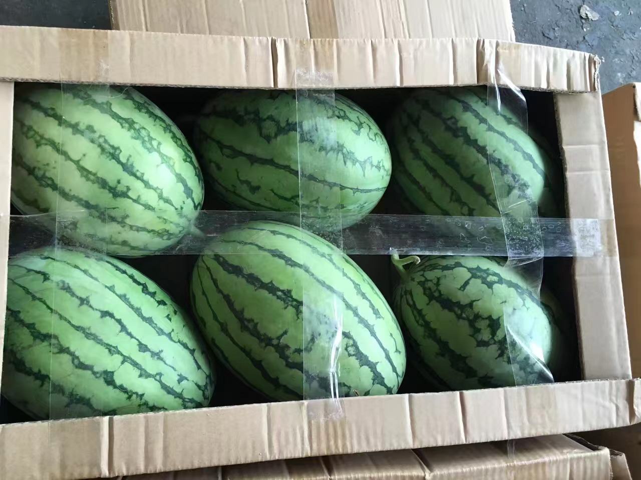 精美的红籽西瓜礼盒包装,适合节日送礼和高端消费市场 红籽西瓜礼盒包装