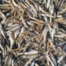 油炸开肚纯小白条，油炸小白条，油炸鱼，精品猫鱼。
