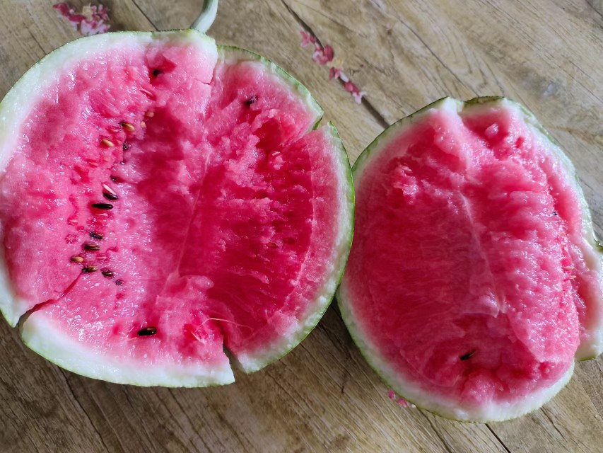 剖开的朱家尖8424西瓜特写，果肉呈均匀桃红色，无黄筋与空心现象，汁水欲滴，旁边放置糖度计显示读数为13.8°Brix