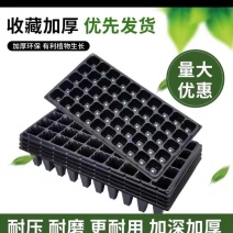 黑色抛秧盘